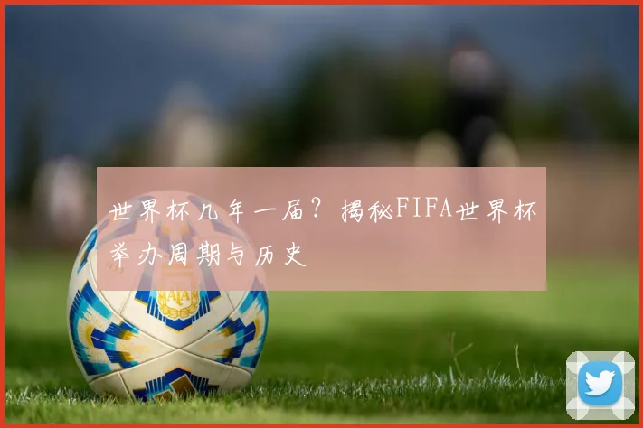 世界杯几年一届？揭秘FIFA世界杯举办周期与历史