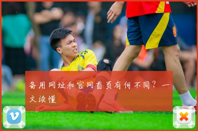 备用网址和官网首页有何不同？一文读懂