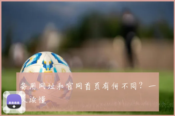 备用网址和官网首页有何不同？一文读懂