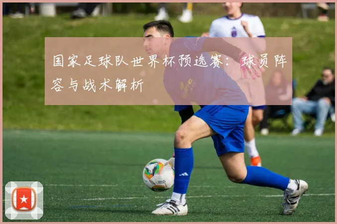 国家足球队世界杯预选赛：球员阵容与战术解析