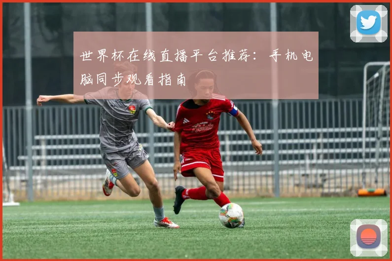 世界杯在线直播平台推荐：手机电脑同步观看指南