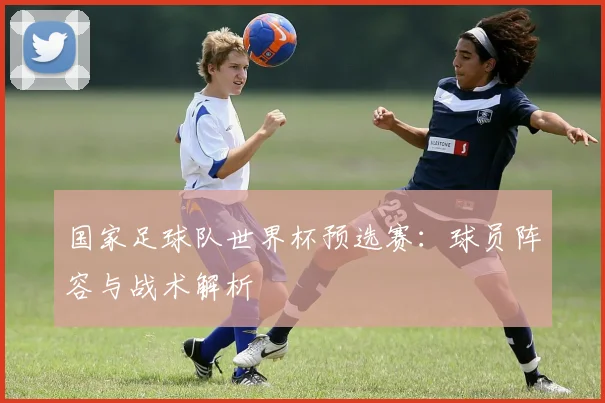 国家足球队世界杯预选赛：球员阵容与战术解析