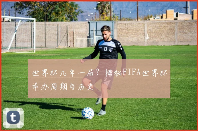 世界杯几年一届？揭秘FIFA世界杯举办周期与历史